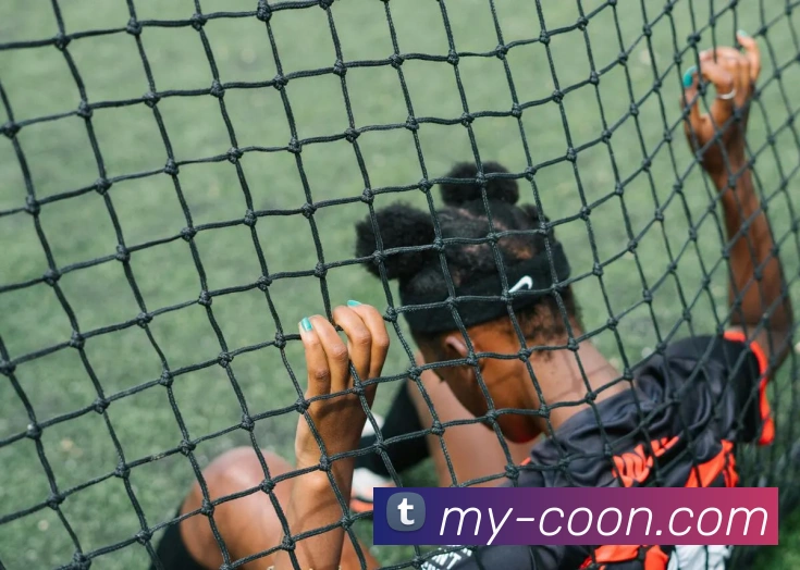 开元体育APP 封面图