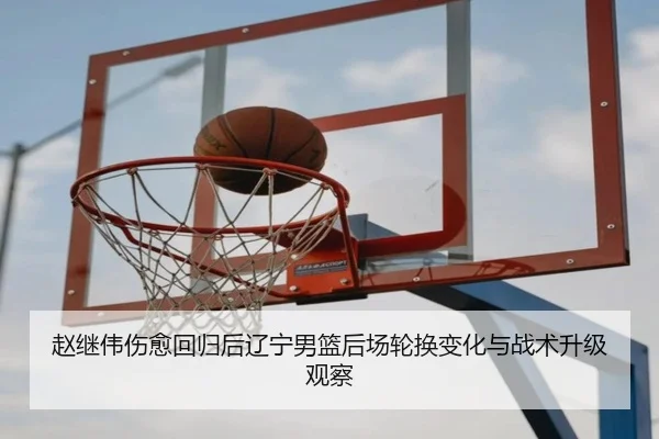 赵继伟伤愈回归后辽宁男篮后场轮换变化与战术升级观察